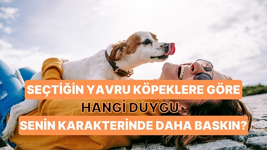 Seçtiğin Yavru Köpeklere Göre Hangi Duygu Senin Karakterinde Daha Baskın?