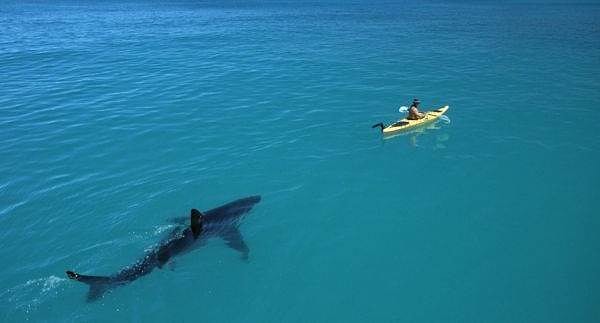 5. Выглядит как что-то ооооочень опасное...