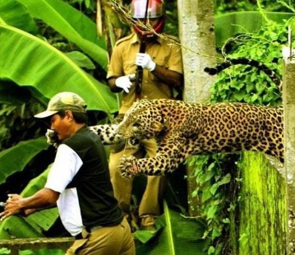 18. Беи, парень, беги!