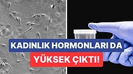 Yapılan Araştırmalar Sonucunda Farklı Alanlarda Çalışan Erkeklerin Sperm Sayısının Değiştiği Ortaya Çıktı