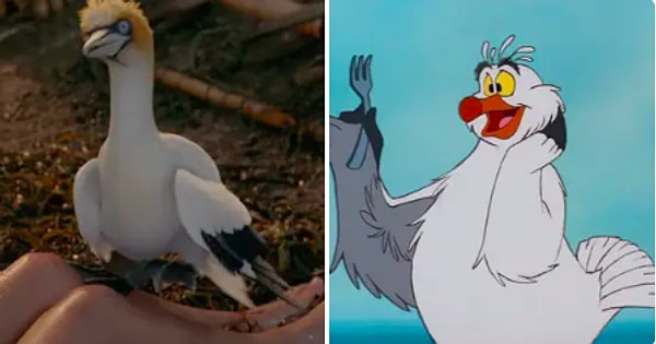 Скаттл, которого озвучит Аквафина: