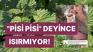 Isırgan Otuna Isırmasın Diye "Pisi Pisi" Diyerek Dokunan Kadının Videosu Bilimi Çaresiz Bıraktı