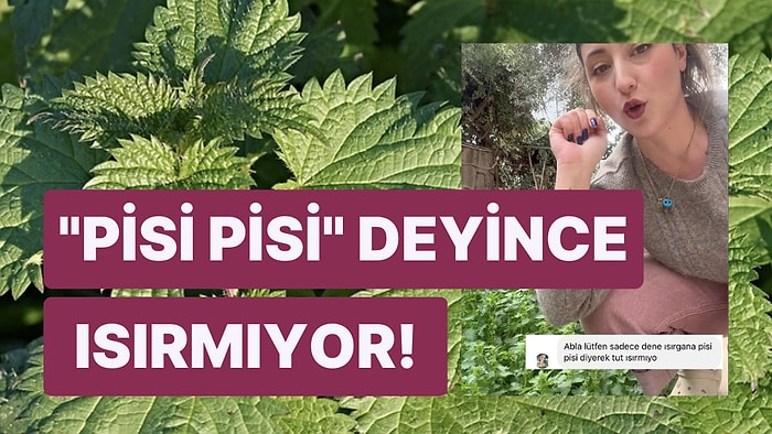 Isırgan Otuna Isırmasın Diye "Pisi Pisi" Diyerek Dokunan Kadının Videosu Bilimi Çaresiz Bıraktı