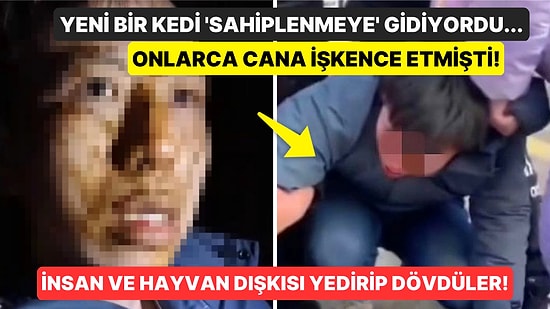 Dışkı Yedirdiler! Kedilere Öldüresiye İşkence Eden Adamı Bulup Dövdüler