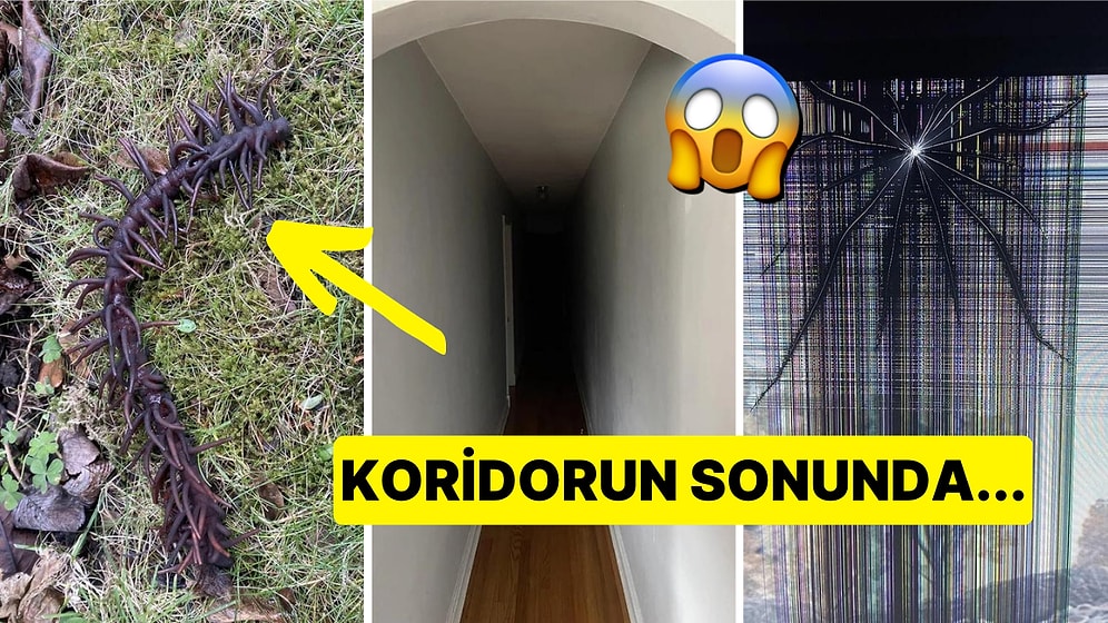 İnternetin Karanlık Köşelerinden Sonsuza Dek Hafızanıza Yerleşip Uykularınızı Kaçıracak 15 Tuhaf Görsel