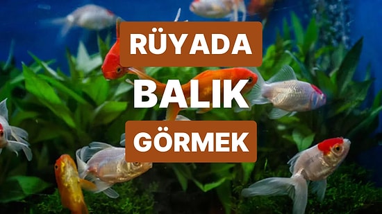 Rüyada Balık Görmek: Kader Ağlarında Sizi Neler Bekliyor?