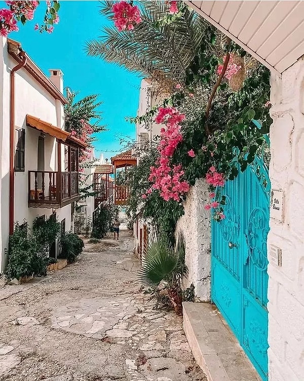 3. Kalkan