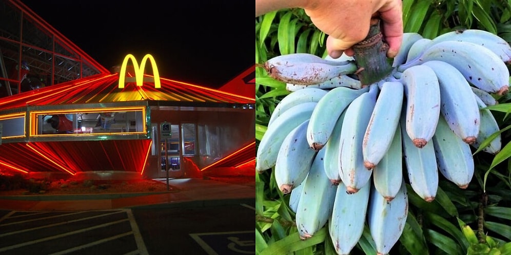 20 фото вещей, которые будто бы пришли в этот мир из параллельных вселенных