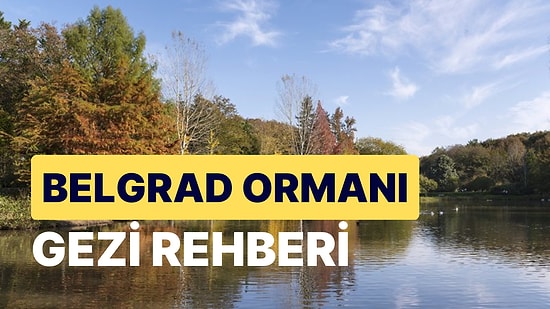 Belgrad Ormanı Gezi Rehberi: İstanbul'un Akciğerleri Belgrad Ormanında Gezintiye Çıkın!