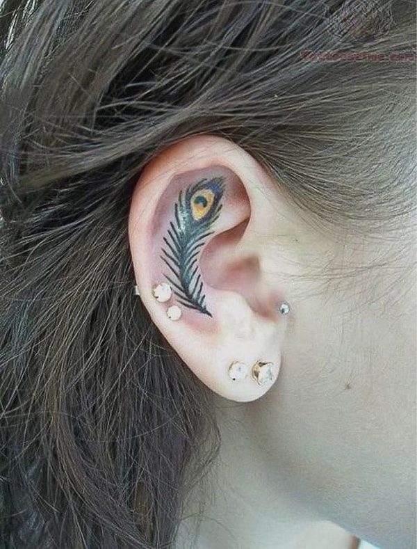 22. Перо павлина