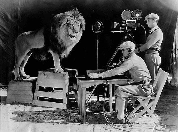 13. MGM yapım şirketinin filmlerinin başında sesini duyduğumuz meşhur aslan Leo'nun kükremesinin kaydedildiği anlar. (1928)