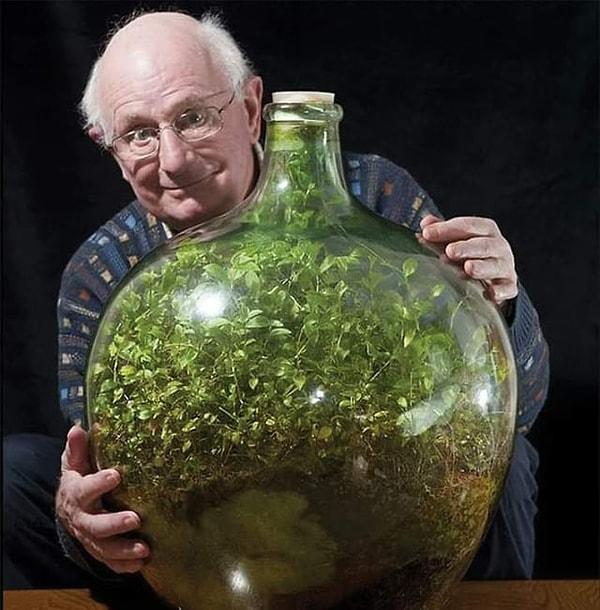 9. 1960 yılında birçok bitkiyi bir şişenin içine diken, 1972'de şişeyi açtıktan sonra sonsuza dek tekrar mühürleyen, altmış küsür yıldır kendi kendine yetebilen bir ekosistemin kurucusu David Latimer👇