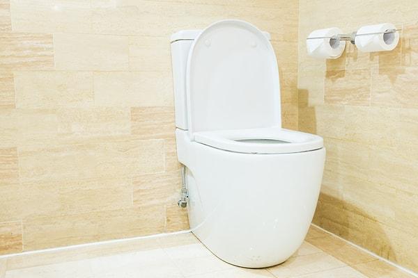 3. Su Faturanızı ve su kullanımınızı azaltmak için, yüksek verimliliğe sahip bir tuvalete yatırım yapmayı deneyin.