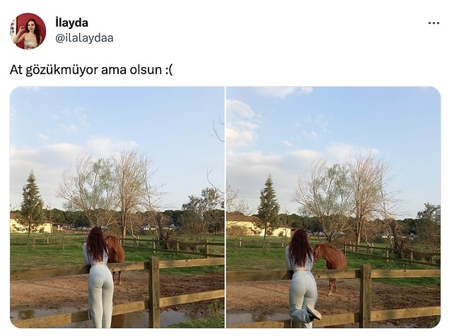 Tabii bir de zorbalık yapan ve insanlara hakaretler savuran kişiler var... İlayda adlı kullanıcı Twitter hesabından bu tweeti paylaştı.