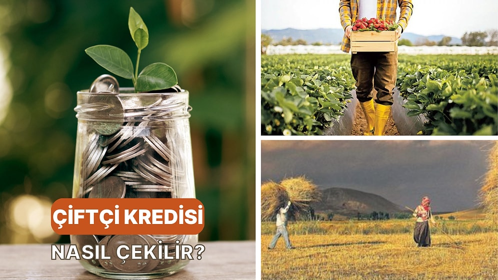 Bahar Gelince Başvuruları Artan Tarım ve Çiftçi Kredileri Hakkında Bilmeniz Gereken 11 Şey