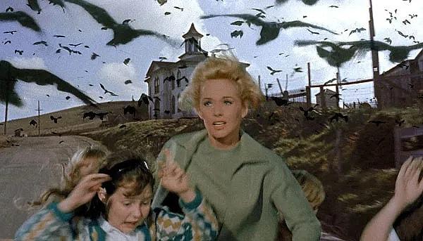 12. The Birds (1963)