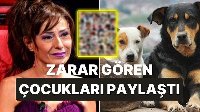 Yıldız Tilbe'den Başıboş Sokak Köpeği Paylaşımı: Saldırıya Uğrayan Çocukları Paylaştı