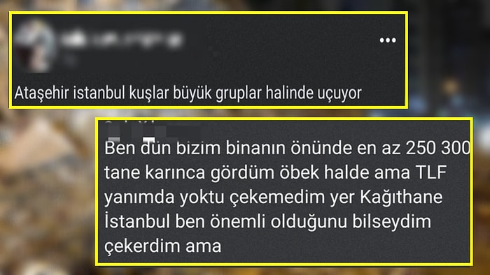 Bilimin Sustuğu Yerde Tahminlerin Konuşulduğu 'Deprem Gözlem Grubu' Beyinleri Yaktı