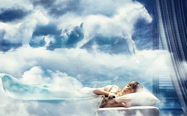 5. Помните ли вы сны, которые видите по ночам?