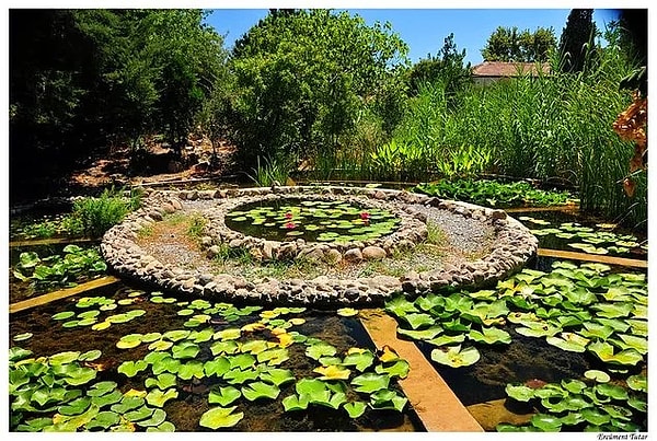 18.	Discover the Ege University Botanical Garden