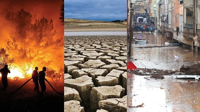 Yangın, Kuraklık ve Sel: Türkiye'deki 'Aşırı Hava Olayları'nda Rekor Artış
