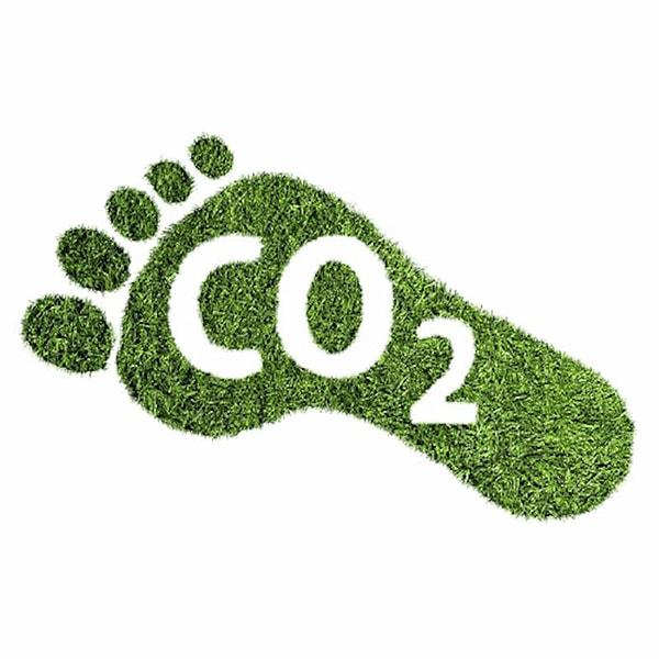8. Dijital ekstre, karbon ayak izinin azalmasına da yardımcı oluyor. Karbon ayak izi, insan faaliyetlerinin sonucunda atmosfere yayılan karbonu anlatmak için kullanılan bir terim.