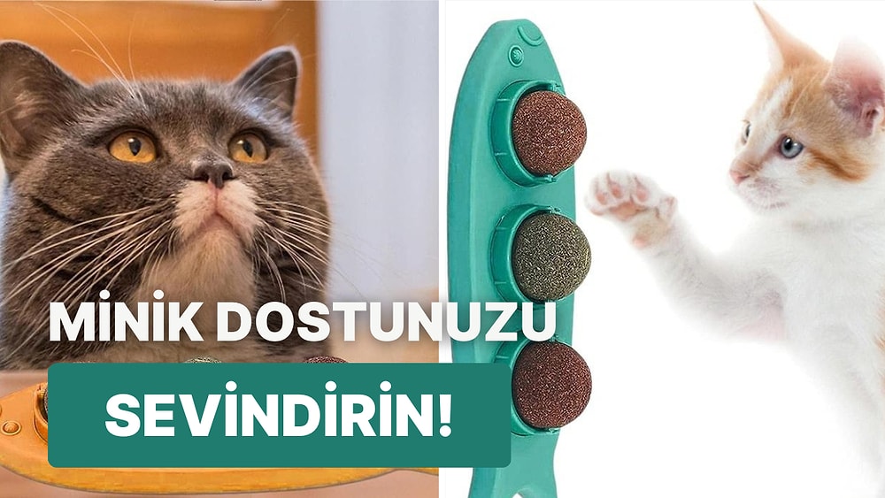 Sevimli Dostlarınız Çok Sevecek! Kedi Nanesi Topu Önerileri