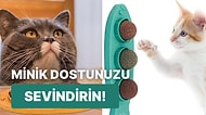 Sevimli Dostlarınız Çok Sevecek! Kedi Nanesi Topu Önerileri