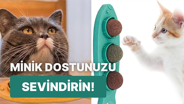 Sevimli Dostlarınız Çok Sevecek! Kedi Nanesi Topu Önerileri