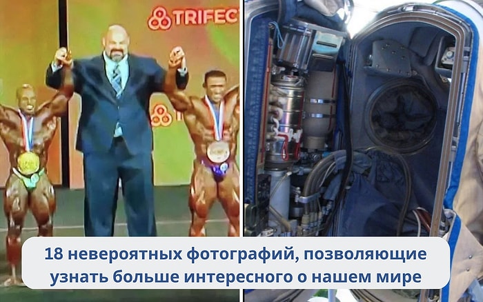 18 невероятных снимков, которые позволят вам узнать об этом мире немного больше