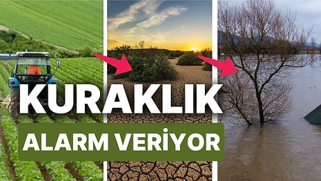 Türkiye'de Kuraklık Tehlikesi Büyüyor: Pazarda Fiyatların Ucuzlaması Hayal Oluyor