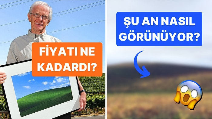 Görmeyen Yoktur! Dünyanın En Ünlü Manzarası Olan Windows XP Masaüstü Fotoğrafının Enteresan Hikayesi