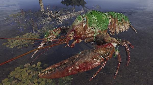 9. Giant Crayfish