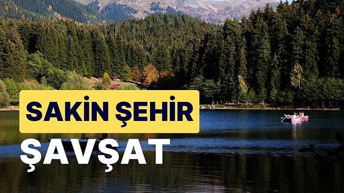 Artvin Şavşat Gezi Rehberi: Doğu Karadeniz'in Yeşile Bürünmüş Doğa Harikası İlçesi Şavşat'ı Yakından Tanıyın