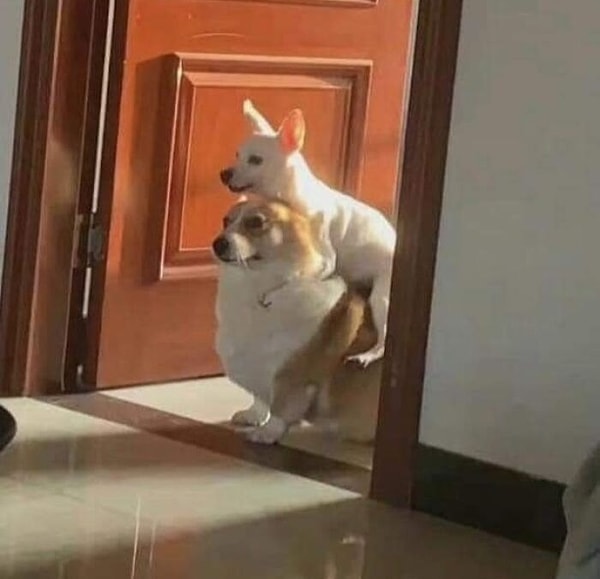 14. Встречают гостей