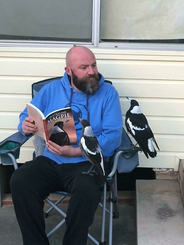 31. А вот и спойлеры прилетели