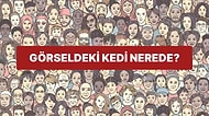Gözüne Güvenen Şöyle Gelsin! Bulmak İçin Saatlerinizi Harcayacağınız Kedi Nerede?