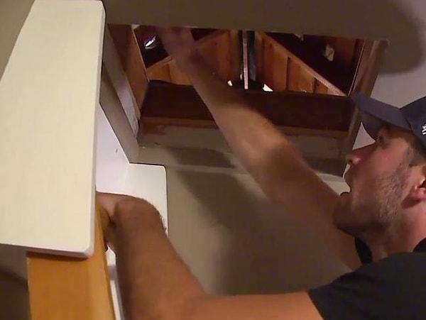 Davis Wahlman, Washington'daki evinin çatısından gelen garip seslerin kaynağını bulmak için tavana arasına kontrol etmeye gitti.