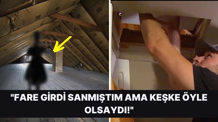 Tavan Arasından Gelen Sesleri Takip Edince Korku Filmi Senaryosunu Aratmayan Bir Sonuçla Karşılaşan Adam