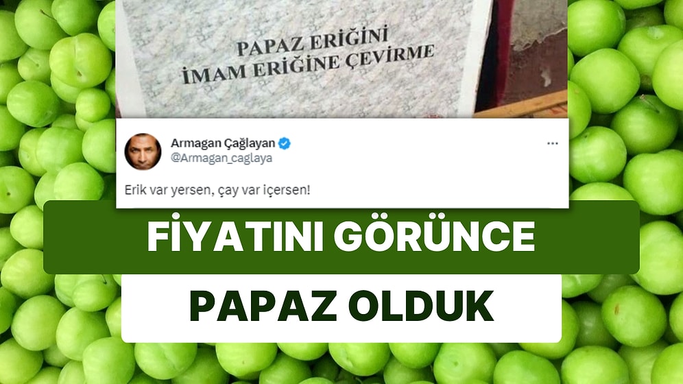 Mevsimin İlk Fiyatı Daldan Düştü: Maaşa Bağlanan Erik Fiyatını Armağan Çağlayan Paylaştı