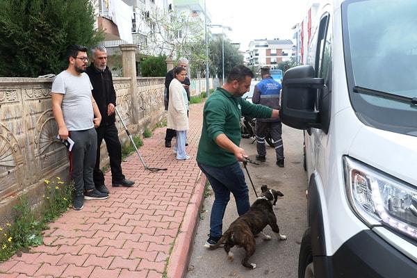 4 saat sonra adrese gelen Antalya Büyükşehir Belediyesi Hayvan Barınağı ekipleri, iple bağladıkları köpeği kamyonete koyup, götürdü.