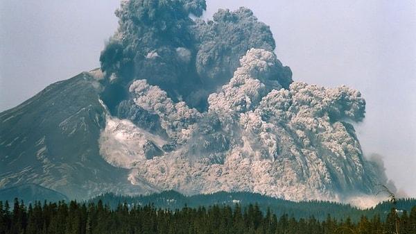 19. Surviving the Mount St. Helens Disaster (2020)