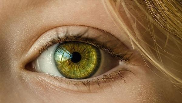 12. Yeşil gözler düşündüğünüzden çok daha nadir! İnsanların sadece yüzde 2'sinde görülen yeşil gözler, erkeklere kıyasla kadınlarda daha çok görülüyor.