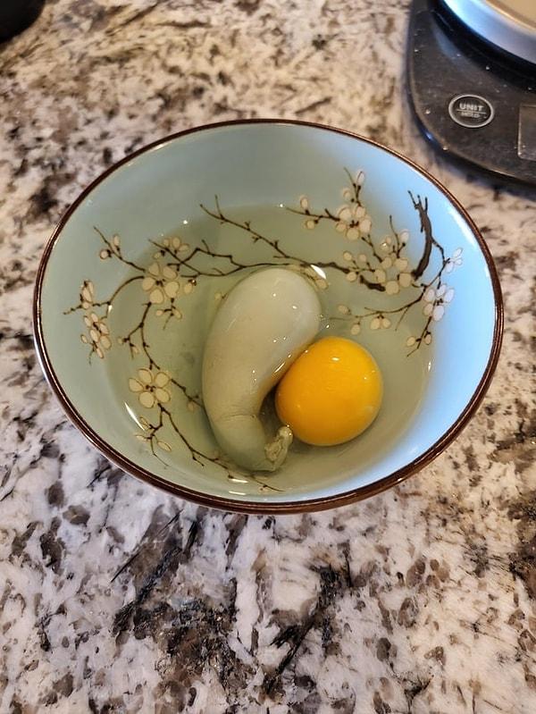 9. 'Yumurtanın içinden çıkan tuhaf şey ne?'