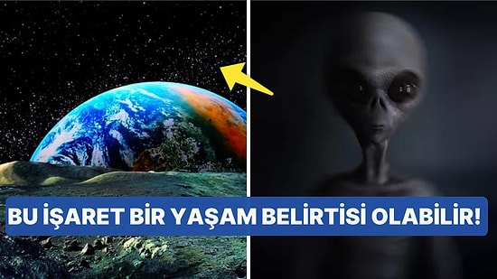 Dünya'ya Düşen Uzay Tozlarında Uzaylı Yaşamı Bulgularına Rastlandı!