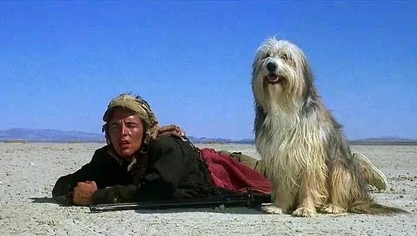 22. A Boy and His Dog (1975)