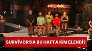 Survivor'da Peş Peşe Diskalifiyelerin Ardından Büyük Bir Şok Etkisi Yaratarak Elenen Yarışmacı Kim Oldu?