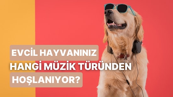 Evcil Hayvanınız Hangi Müzik Türünden Hoşlanıyor?