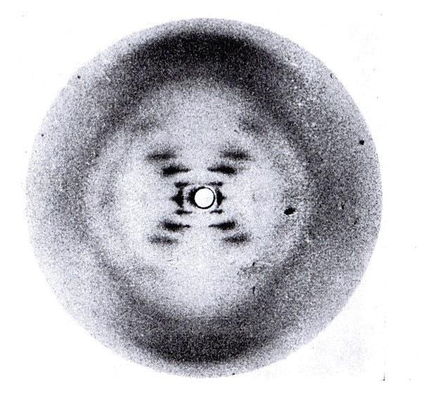Bilim insanları James Watson ve Francis Crick Franklin'in Fotoğraf 51 olarak bilinen DNA'nın çığır açan X-ışını görüntüsünü gösterdiğinde başka bir DNA araştırma ekibinin başında Franklin'e ihanet eden Maurice Wilkins vardı.