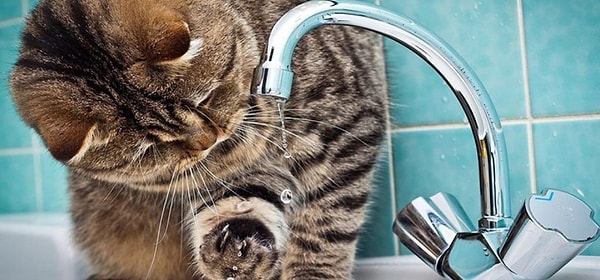 7. Как часто с вами случаются мелкие бытовые неприятности?